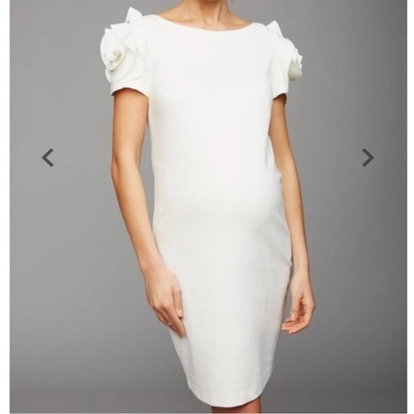 Pietro Brunelli Salisburgo Rose Maternity Dress M - Picture 1 of 15